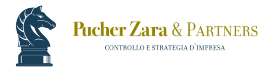 Pucher Zara & Partners